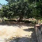 B&B Il Ciliegio