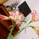 Relax Room