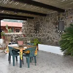 Le Due Cycas