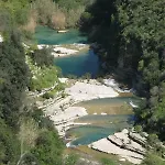 Auriale'