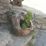 Casa Capitana