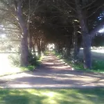 Costanza D'Aragona
