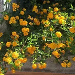 Mastrissa Country House