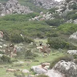 B&B Il Dodo
