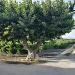 Residenza Al Gelso