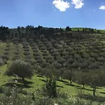 Il Bosco