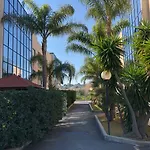 Le Gardenie