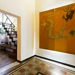 Il Drago E La Fenice