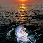 Aspra Al Delfino Blu