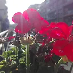 Cataniaedintorni