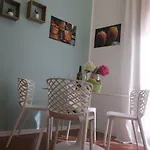 Massimo Comfort