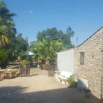 La Collina Delle Ginestre