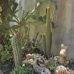 Dimora Vera