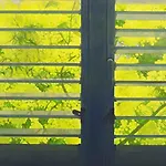 La Persiana Verde