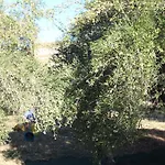 La Locanda Dei Fiori