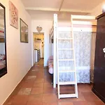 Domus Virginiae