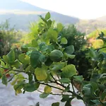Villa Azzurra