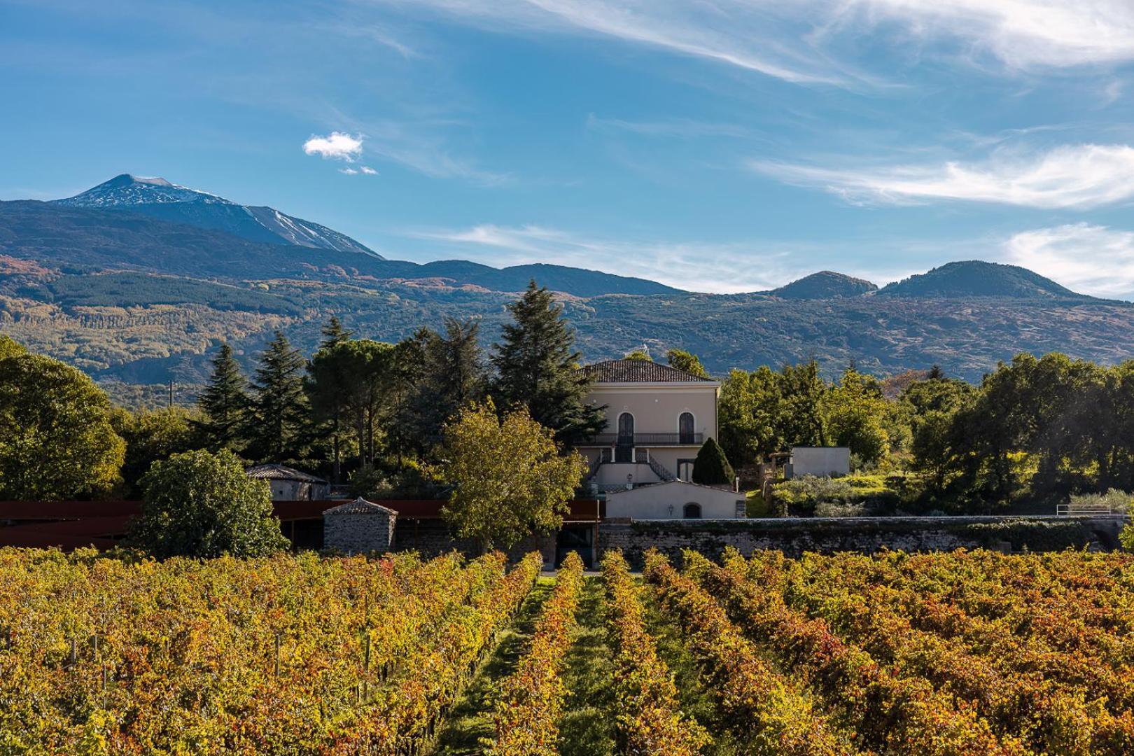 Campore Etna Wines And * Randazzo