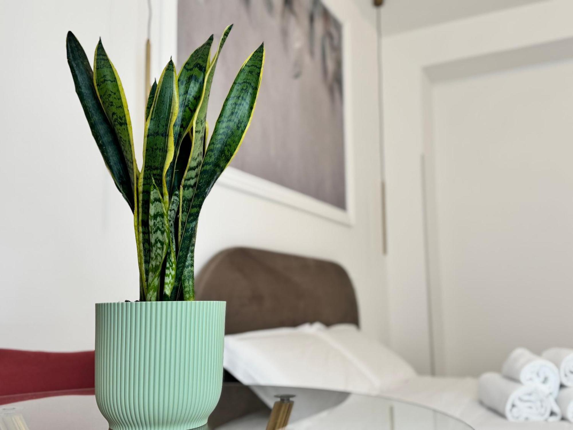Siracusa Centro Bed & Breakfast *