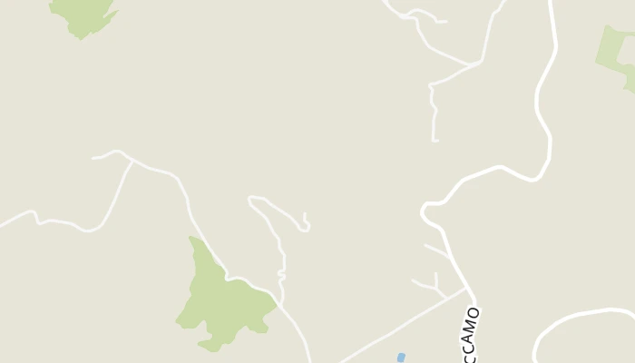 Kort