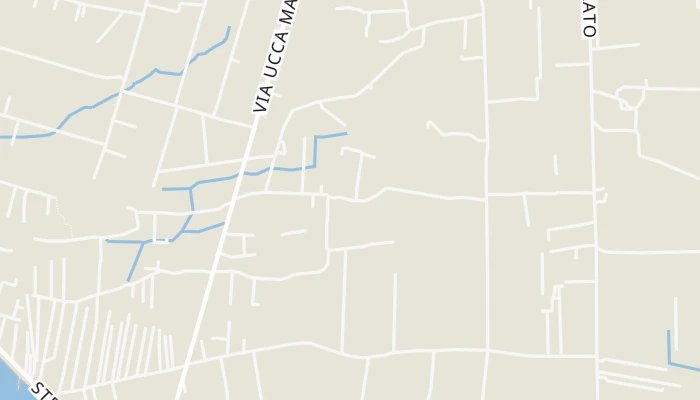 Kort